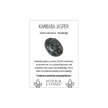 Jasper - Kambaba Tumble
