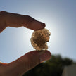 Agni Manitite Specimen
