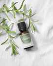 Slumber Essential Oil Blend 15ml