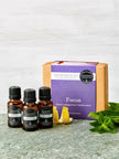Focus - Essential Oil Pack
