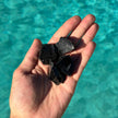 Black Obsidian Rough Stone