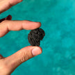 Agni Manitite Specimen