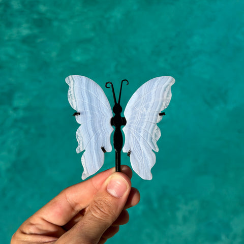Blue Lace Agate Butterfly Wing Carving
