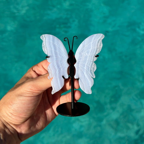 Blue Lace Agate Butterfly Wing Carving