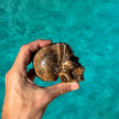 Brown Aragonite Skull Carving