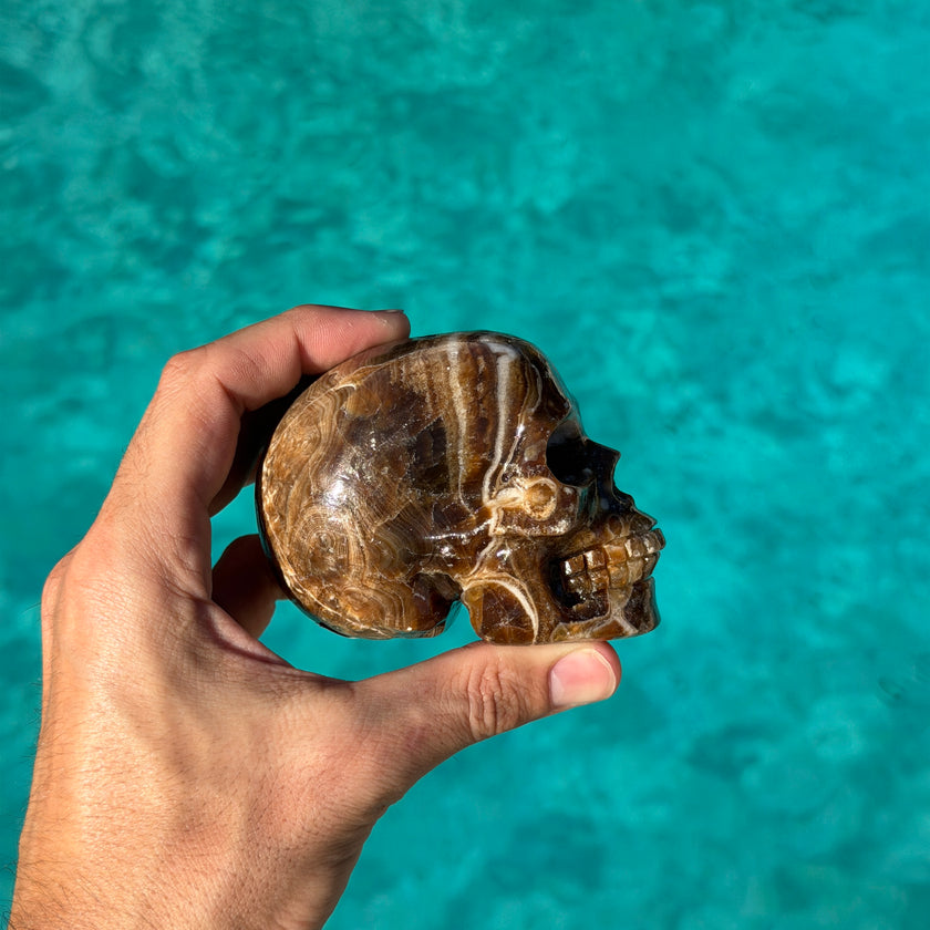 Brown Aragonite Skull Carving