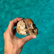 Brown Aragonite Skull Carving