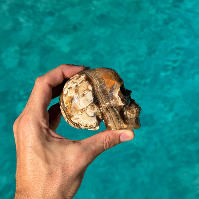 Brown Aragonite Skull Carving