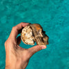 Brown Aragonite Skull Carving
