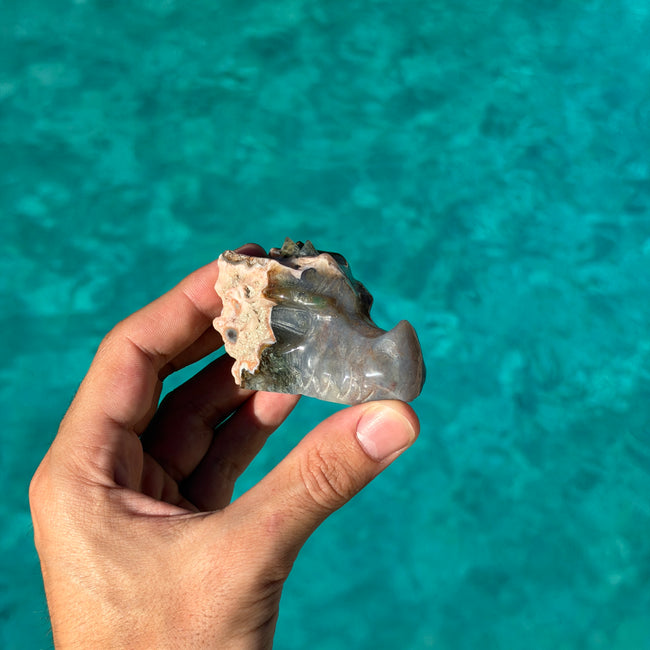 Indian Agate Dragon Head Carving