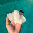 Mangano Calcite Bladed Cluster Specimen