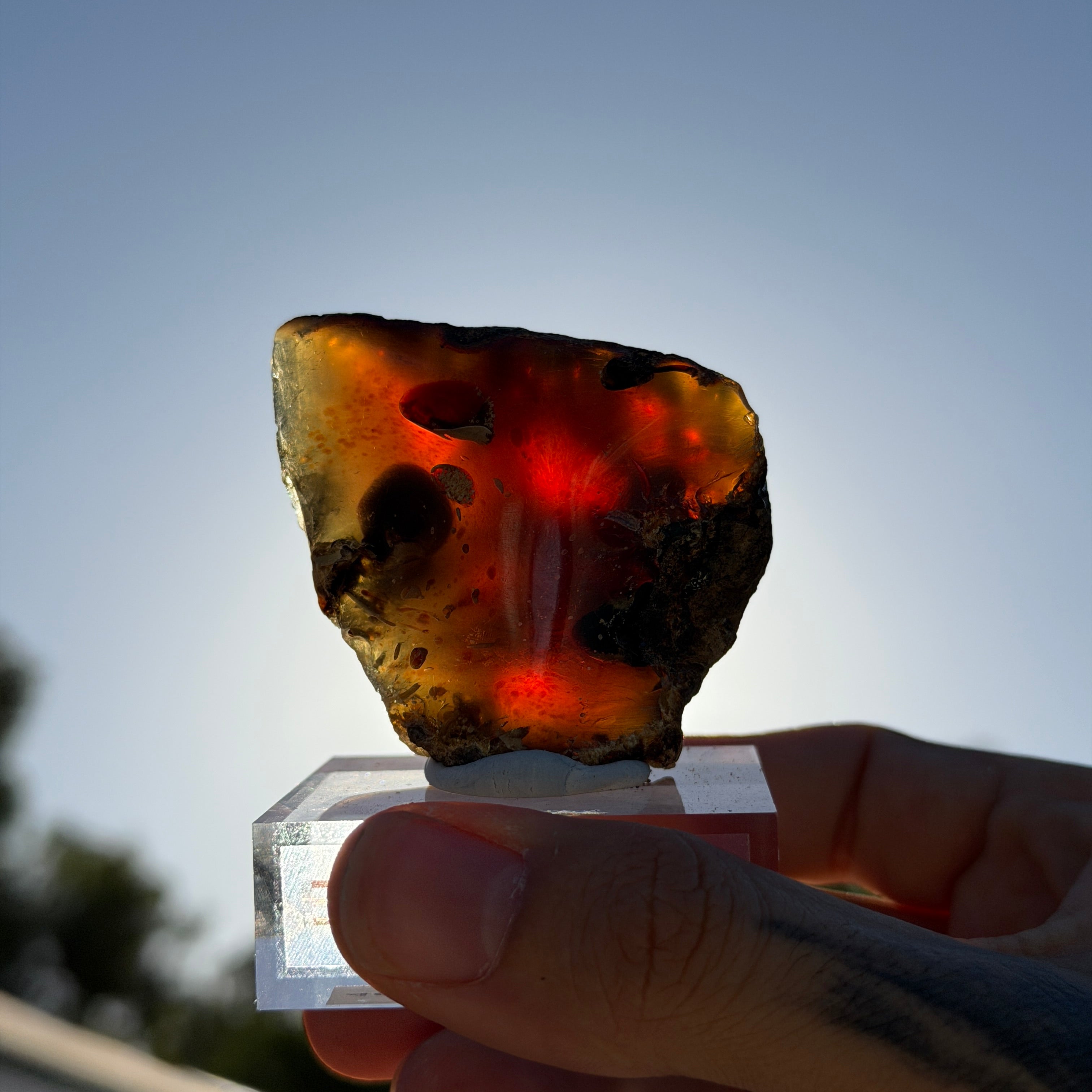 Indonesian Blue Amber Specimen