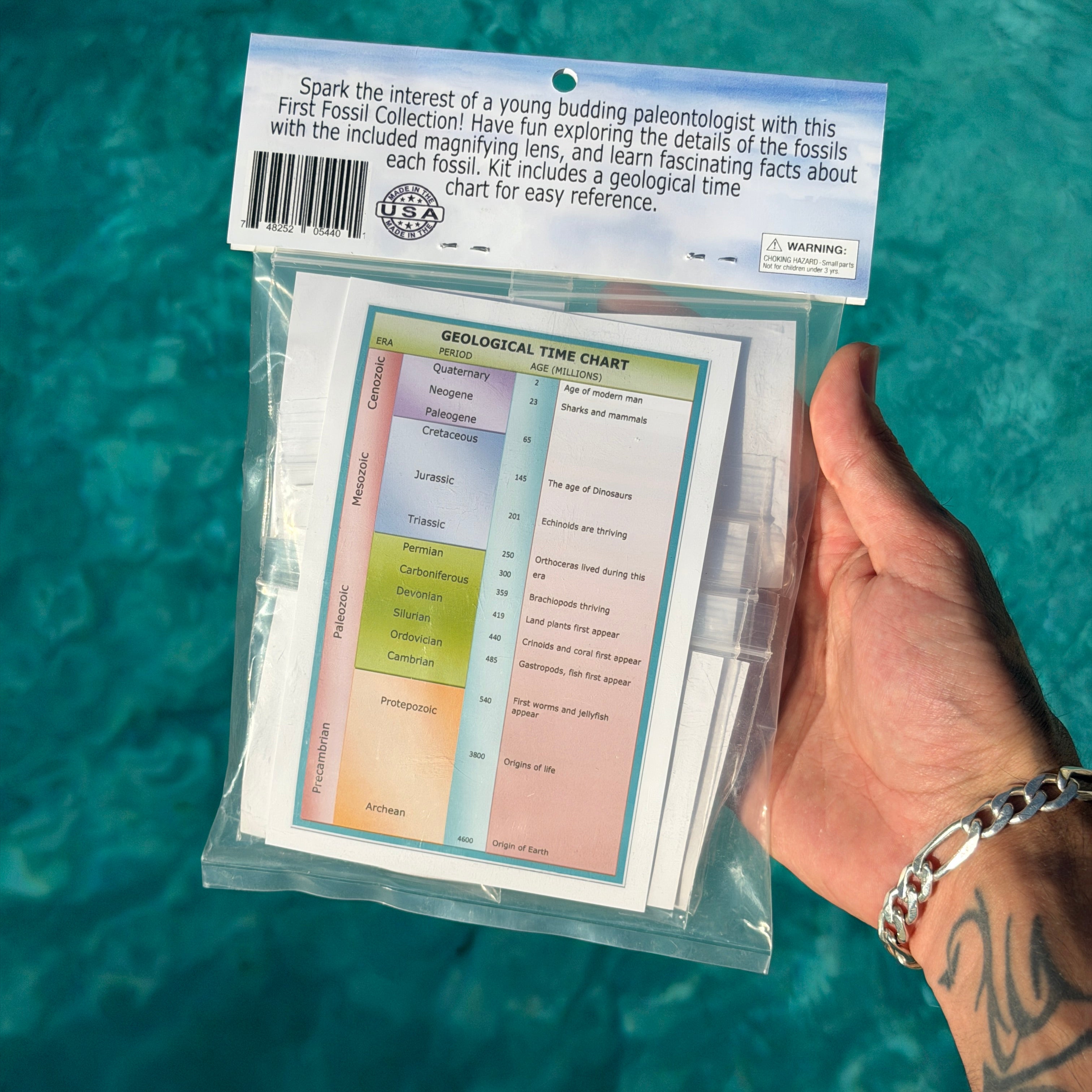 1st Fossil Collection Kit