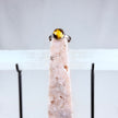 925 Tiger Eye Ring