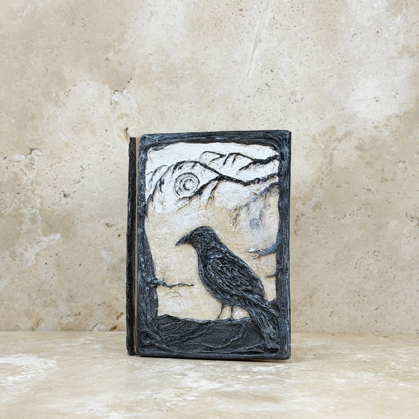 Dragon Eye Refillable Journal
