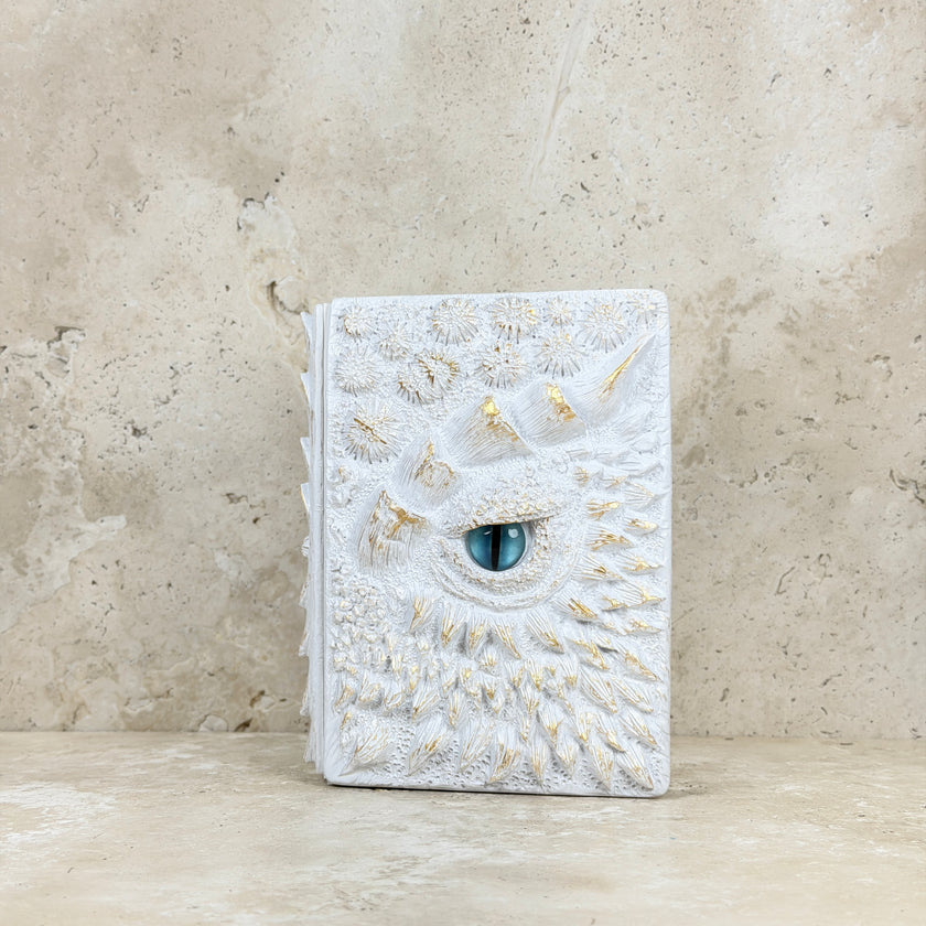 Dragon Eye Refillable Journal