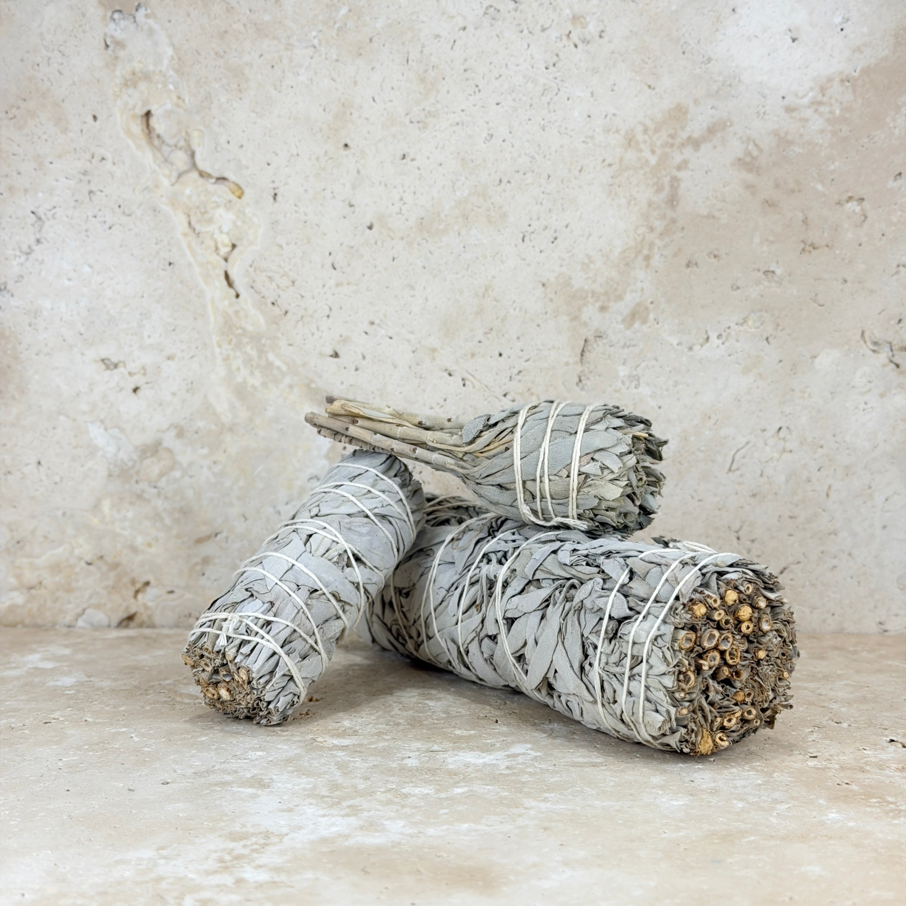 Californian White Sage