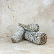 Californian White Sage