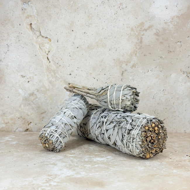 Californian White Sage