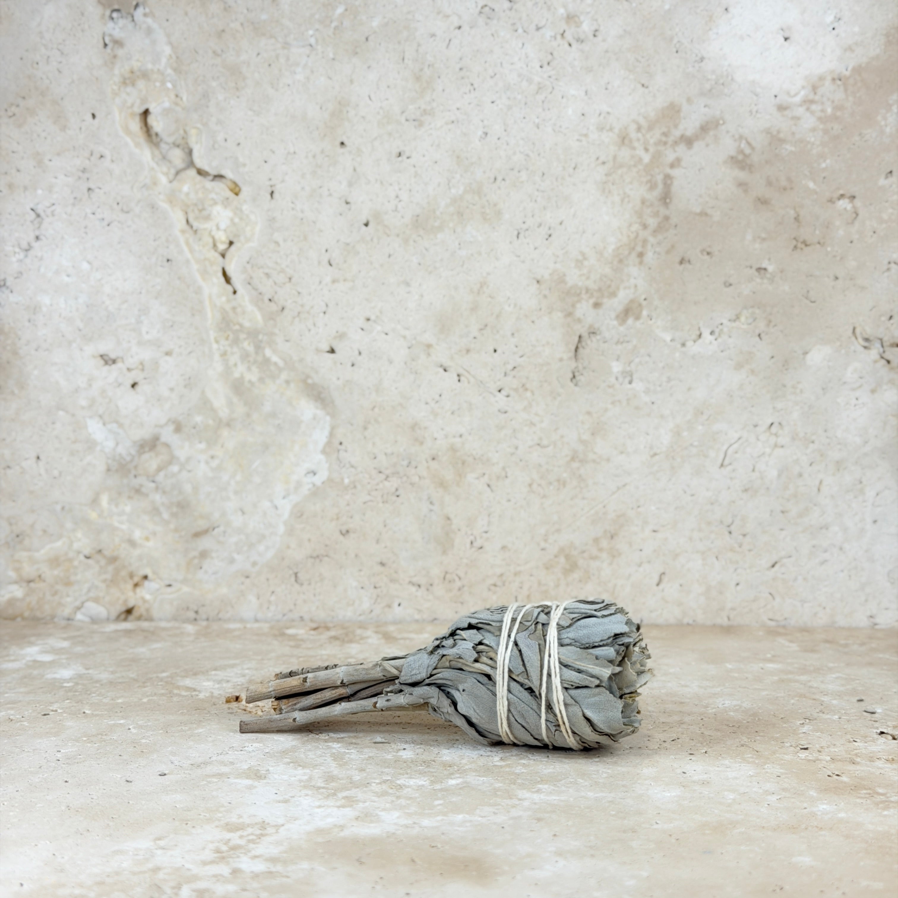 Californian White Sage