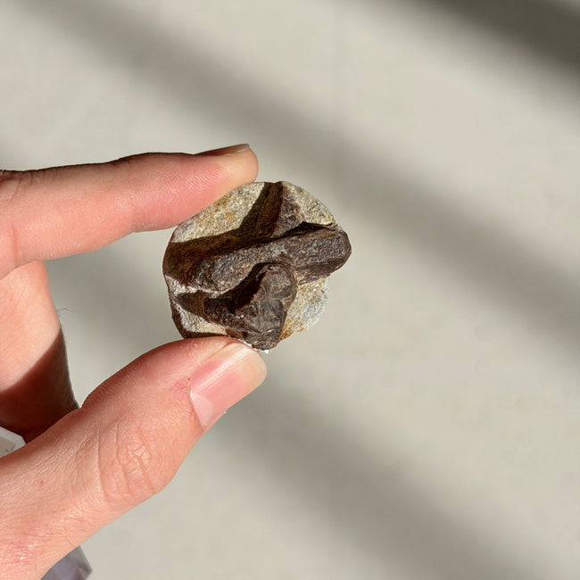 Natural Staurolite Specimen