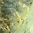 Botryoidal Prehnite with Epidot Tower (A)