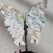 Ocean Jasper Butterfly Wing Carving