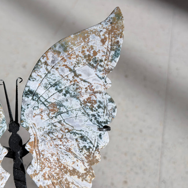 Ocean Jasper Butterfly Wing Carving