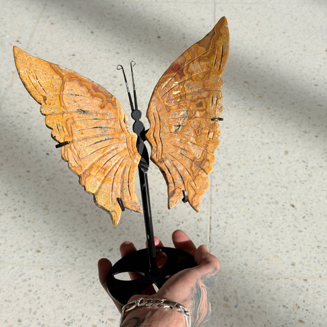Crazy Lace Agate Butterfly Wing Carving