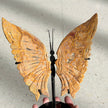 Crazy Lace Agate Butterfly Wing Carving