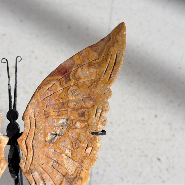 Crazy Lace Agate Butterfly Wing Carving