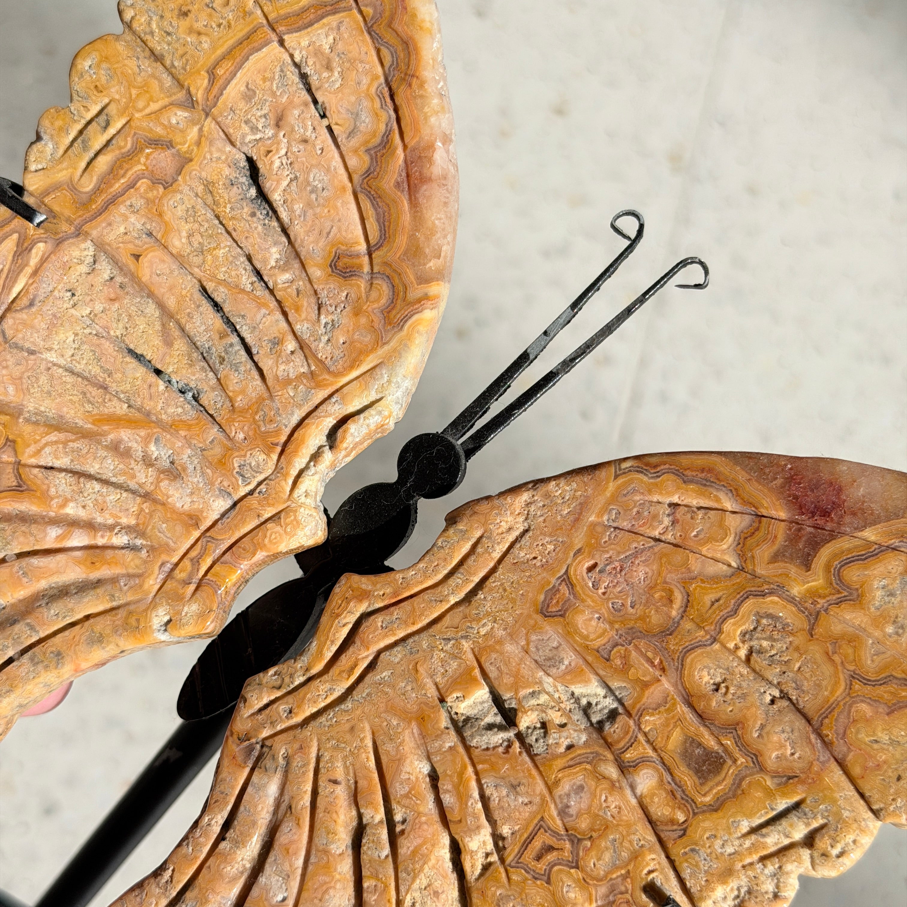 Crazy Lace Agate Butterfly Wing Carving