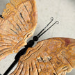 Crazy Lace Agate Butterfly Wing Carving