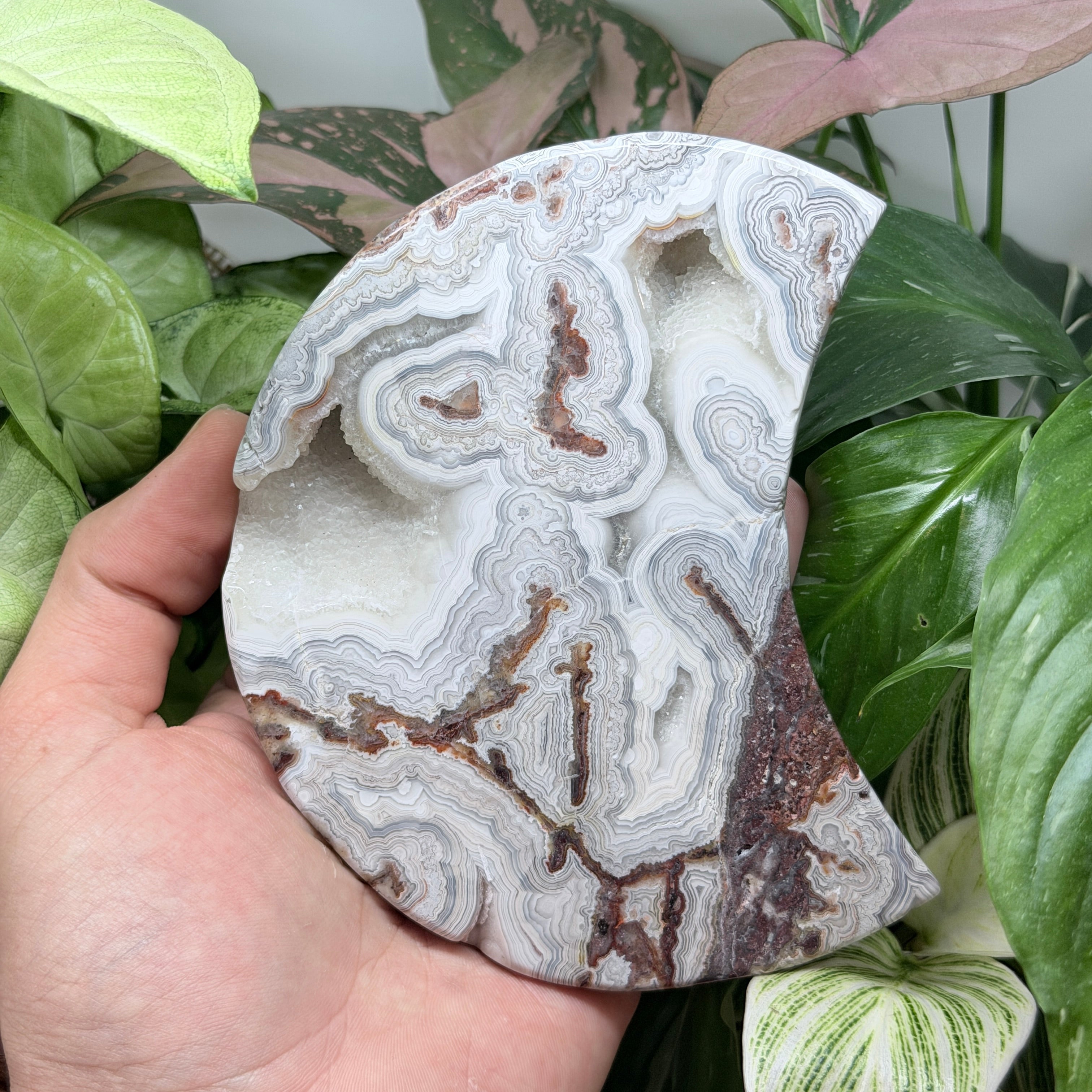 Laguna Lace Agate Polished Moon