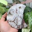 Laguna Lace Agate Polished Moon