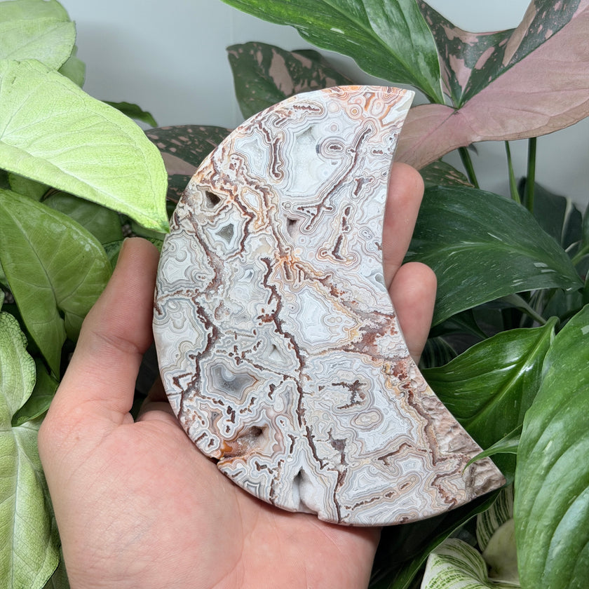 Laguna Lace Agate Polished Moon