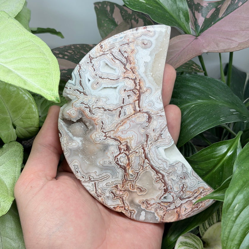 Laguna Lace Agate Polished Moon
