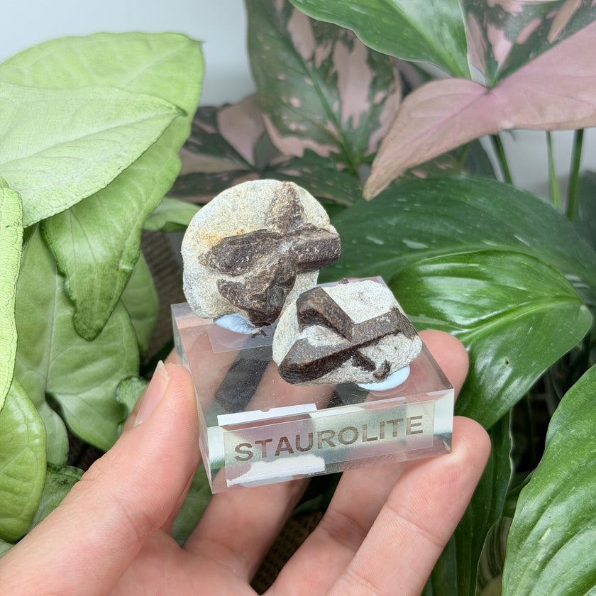 Natural Staurolite Specimen