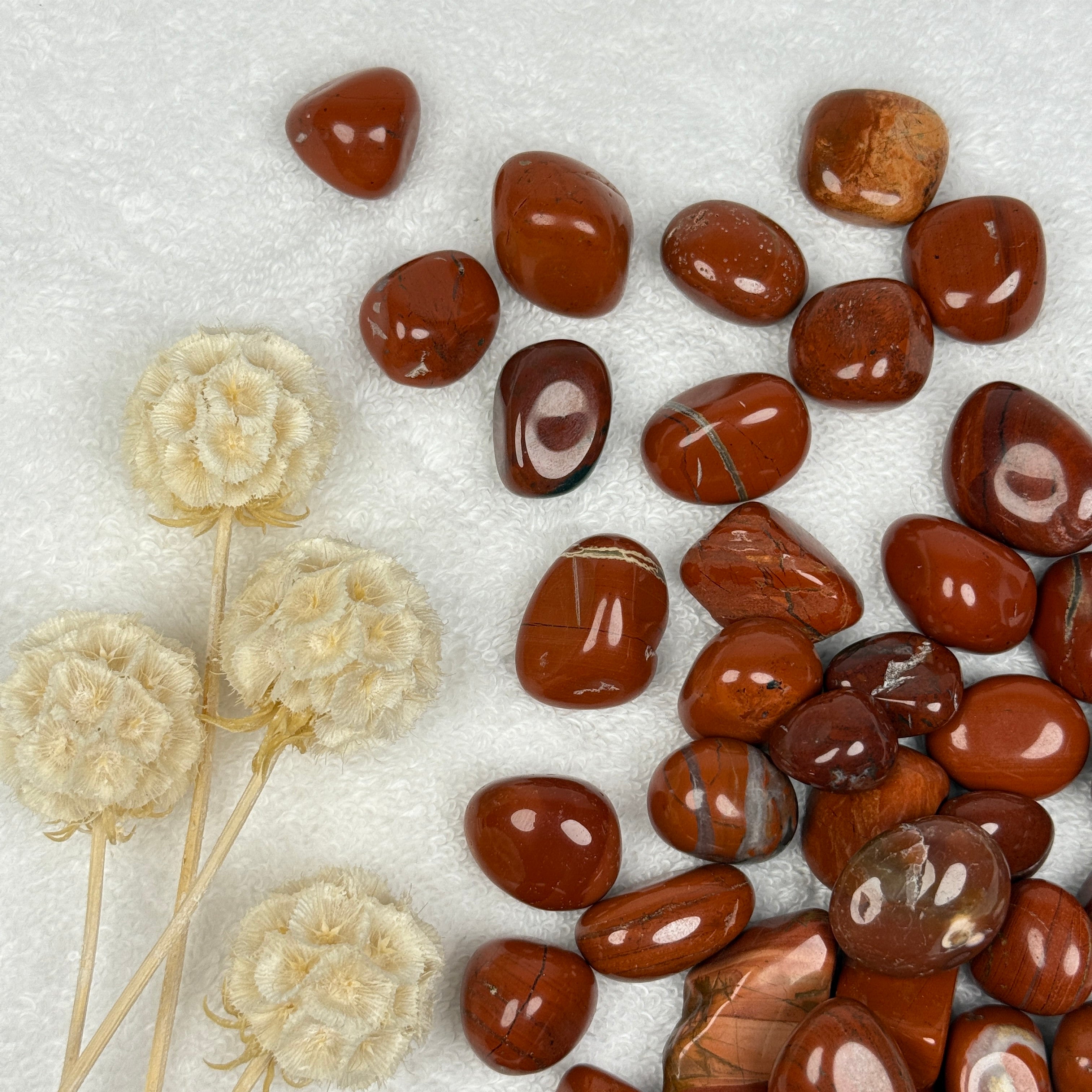Jasper - Red Tumble