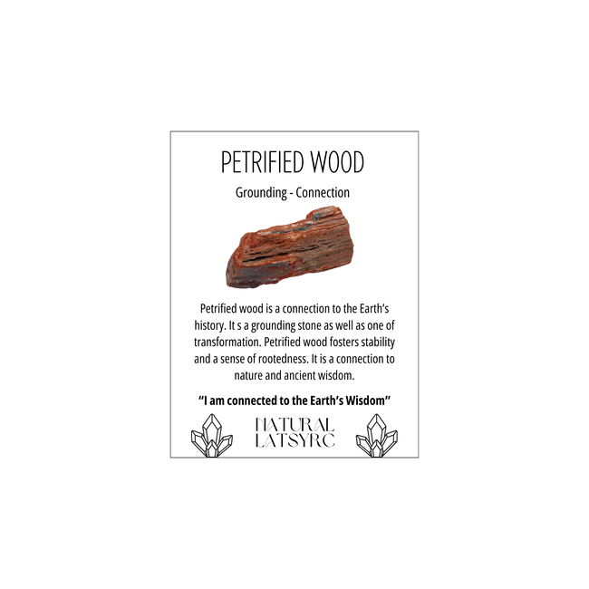 Petrified Wood Tumble