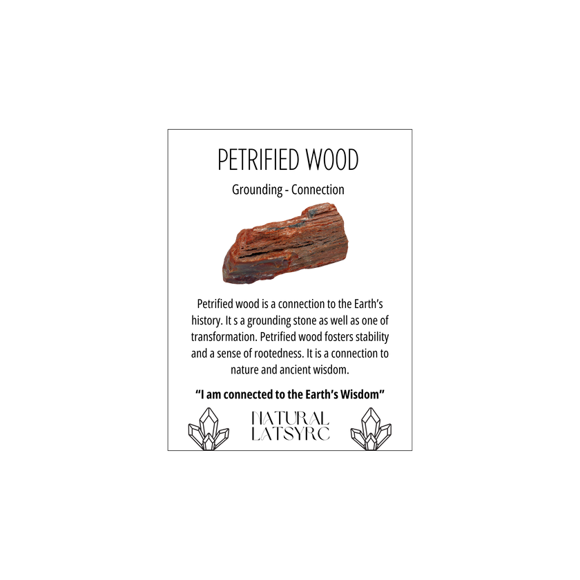 Petrified Wood Tumble