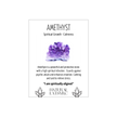 Vera Cruze Amethyst Specimen