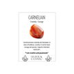 Carnelian Gold Plated Bracelet